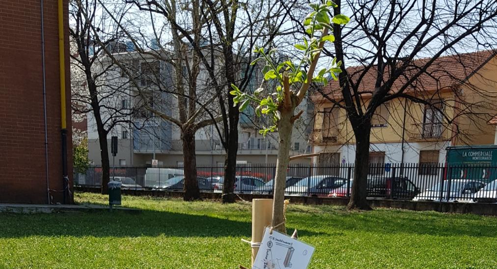 Japanese - European Friendship Plantation for the Planet